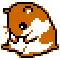 Hamster