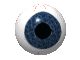 Eyeball